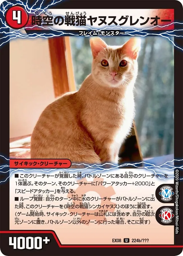 時空の戦猫ヤヌスグレンオー